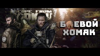 #shorts Снова бежим?#eft #escapefromtarkov #bOeBoU_XoM9K #прячуледухувтрусики