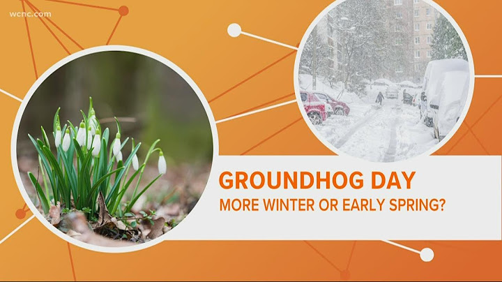 Groundhog Day 2021: How accurate are Punxsutawney Phil's predictions?