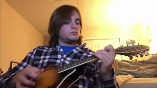 Mason&#39;s Apron- Mandolin Cover (Short)