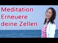 Meditation: Erneuere deine Zellen