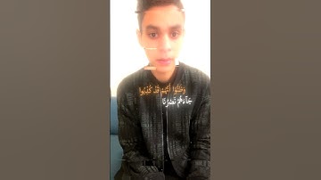 القارئ عبدالرحمن مسعد    سورة يوسف