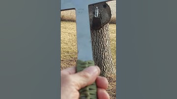 WARMING UP WITH MY WYATT HINES CUSTOM THROWING AXE #backyardcutting #bottlecutting #viral #tomahawk