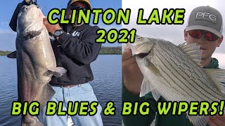 Clinton lake  Big Blues, Wipers and some walleyes too!