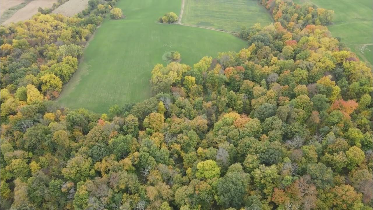 fall-foliage-in-colesburg-iowa-fall-2022-youtube