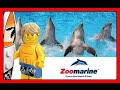 Zoomarine Roma 2015 - Show Delfini (Dolphin show)