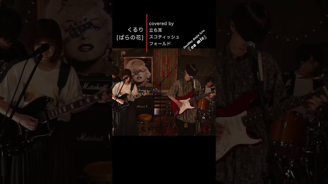 Shorts 「#ばらの花」 #くるり #オレンジデイズ #cover_song / on mic