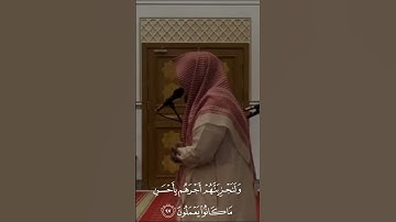 ماتيّسر من سورة النحل للقارئ ماجد الحازمي #تلاوة_خاشعة #اكسبلور