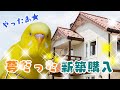 【セキセイインコ】夢だった新築を買いました。　HOEI35手のりとマルカンバードプレスのケージ比較