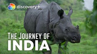 Coexist and Conserve: India's National Parks | The Journey of India | discovery+ by discovery plus 1,270 views 1 year ago 5 minutes, 17 seconds