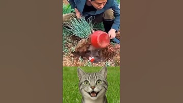 give this video a title (wrong answers only) #educational #ohio #usa #trending #education #tips.....
