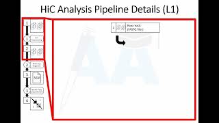 HiC Wetlab and Analysis Pipeline Overview