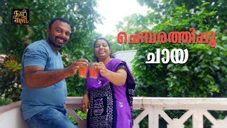 ചെമ്പരത്തിപ്പൂ ചായ | How to Make Hibiscus Tea? | Herbal Tea | Food N Travel