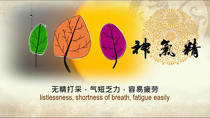 what is yang qi? how to regulate yang energy ?
