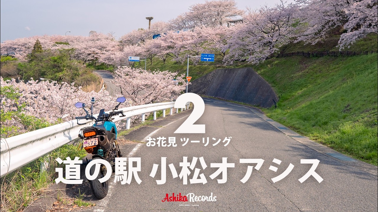 【 お花見 ツーリング2 】春の愛媛をハシゴ！道の駅 小松オアシスへ桜を求めてグロム散歩 ｜HONDA GROM