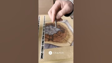 Our Back to the Shop Deal is here - time to get groovin’. Juice groovin’. #shapertools #woodworking