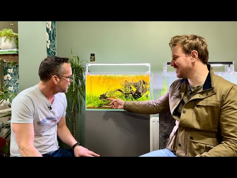 Ember Tetra biotope display with George Farmer