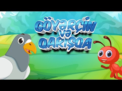 Göyərçin və qarışqa - Azərbaycan dilində uşaq kanalı