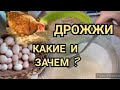 ✔Какие Дрожжи Давать Курам?//Дрожжевание Кормов Для Кур Несушек и Бройлеров!//Просто Жизнь👍