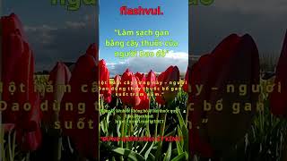 74 VƯỜN THUỐC NAM , #thuocnam #phongthuy #meovathuuich
