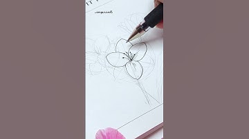 Thumbnail of Freesia Flower Drawing Practice With Me