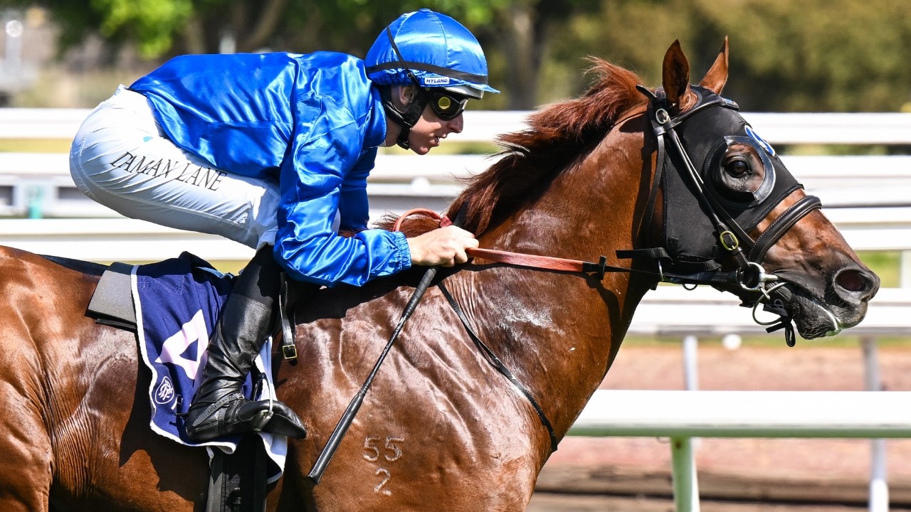 Black Caviar Lightning Race Day | Recap of the the Black Caviar Lightning