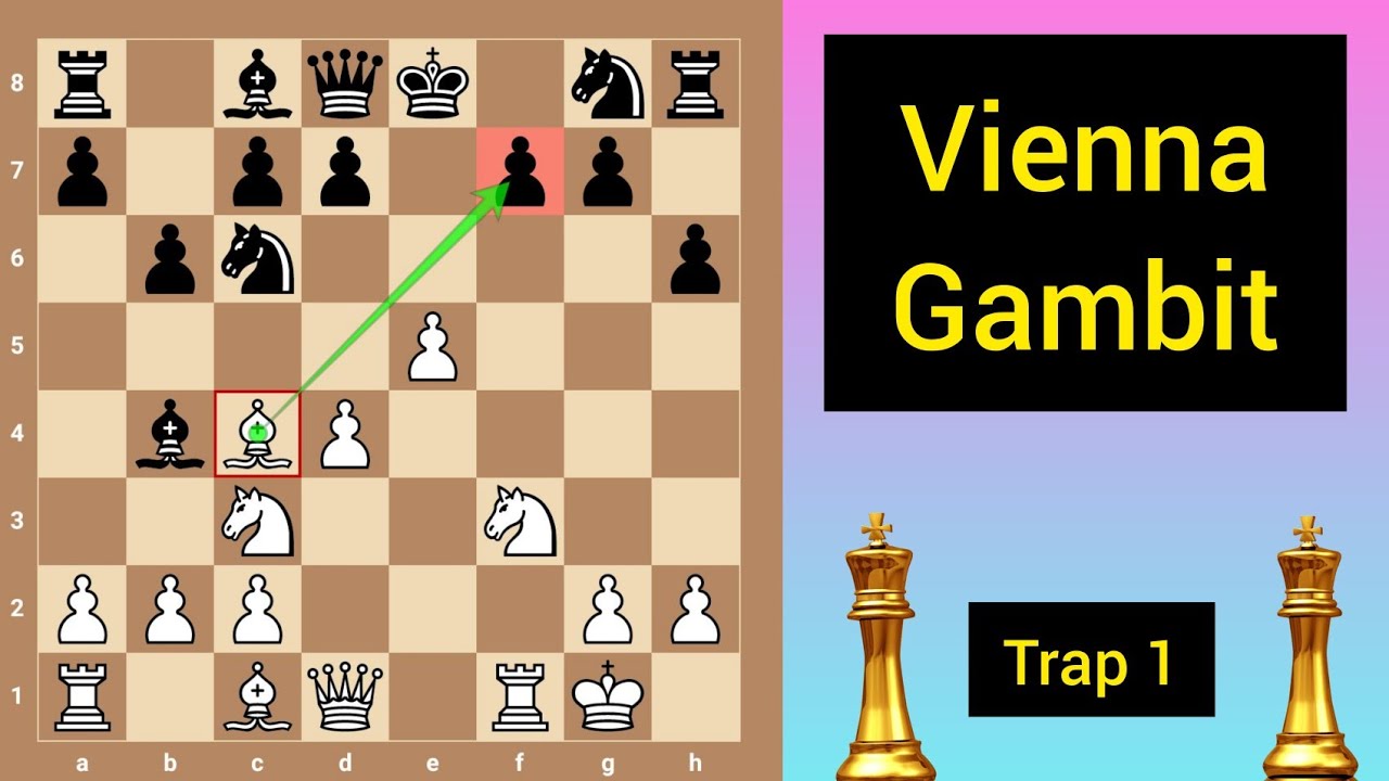 Vienna chess opening gambit - RookieRook