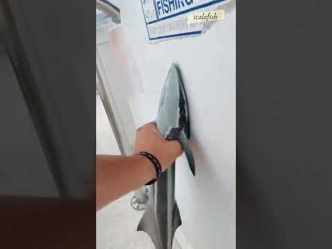 Video: Apakah pelayan ikan kaca?