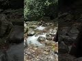 Sikkim