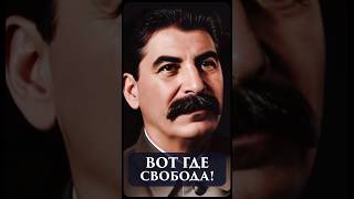 Вот Где Свобода! // Мысли Сталина #3 #Shorts