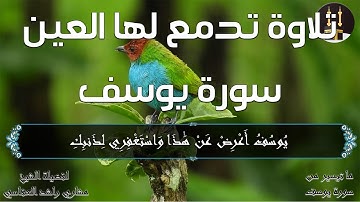 تلاوة تهتز  لها القلوب | من سورة يوسف مشاري راشد | مقطع رائع