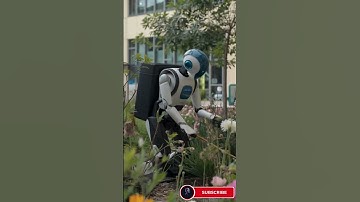 A robot cleaning the garden #instagood #robot #howtomaketoysathome #automation #love #starwars #art