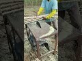 Sawing cassava stems with a circular saw