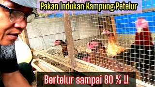 How to make feed for laying hens #chickenbreeding #001 @KreatifTV