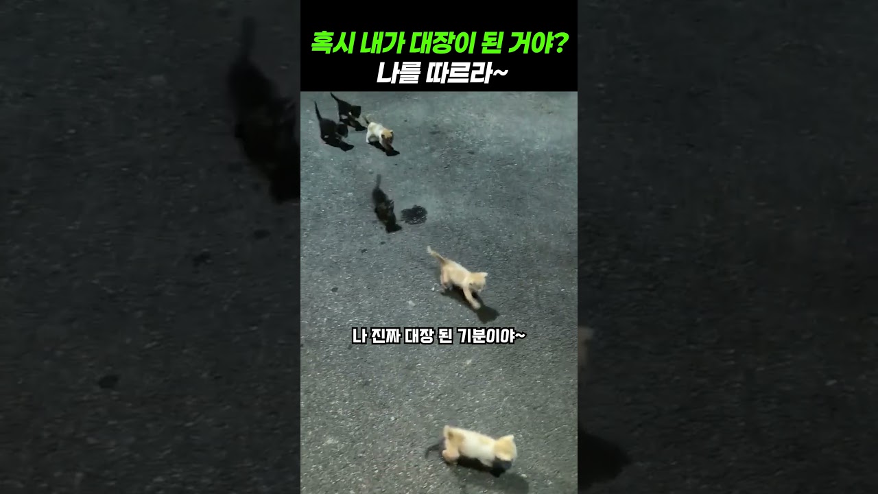 대장 놀이에 흠뻑 빠졌다