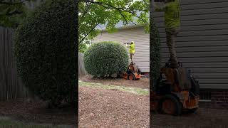 When You Forget The Ladder   yarderos
