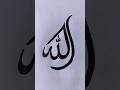 Allah Name Calligraphy Art #allah #calligraphy #shorts