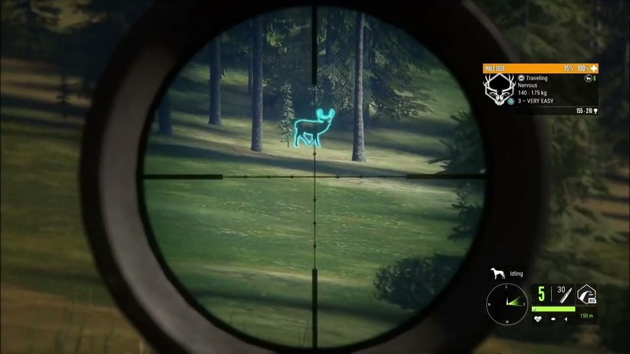 Rare dilute mule deer on hunter call of the wild!!!! YouTube