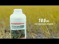 Frontier herbicide 200 od paano ang tamang dosage at tamang timing  leads agri