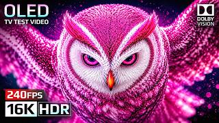 Epic 16K Nature Video 120FPS | Best HDR Dolby Vision OLED Showcase | 4K Video • 8K Ultra HD TV screenshot 2