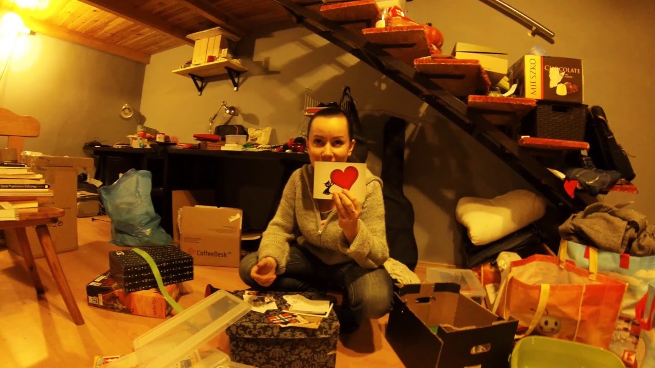 LUNA - Gończy Polski // Polish Hunting Dog  Zamość, styczeń 2016