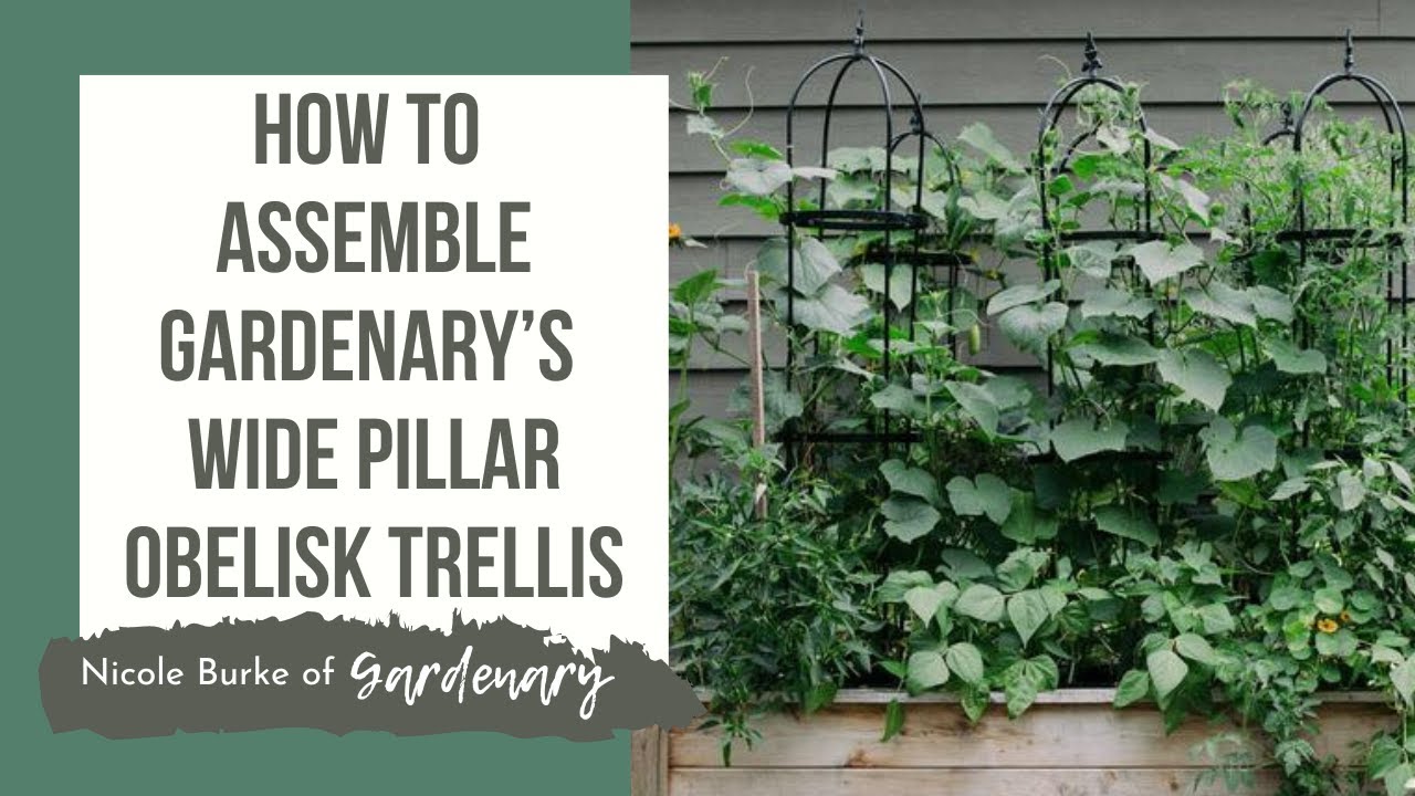 How to Assemble Gardenary’s Wide Pillar Obelisk Trellis
