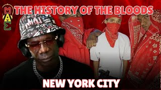 New York  Street Gangs  The Bloods: How Crime Works