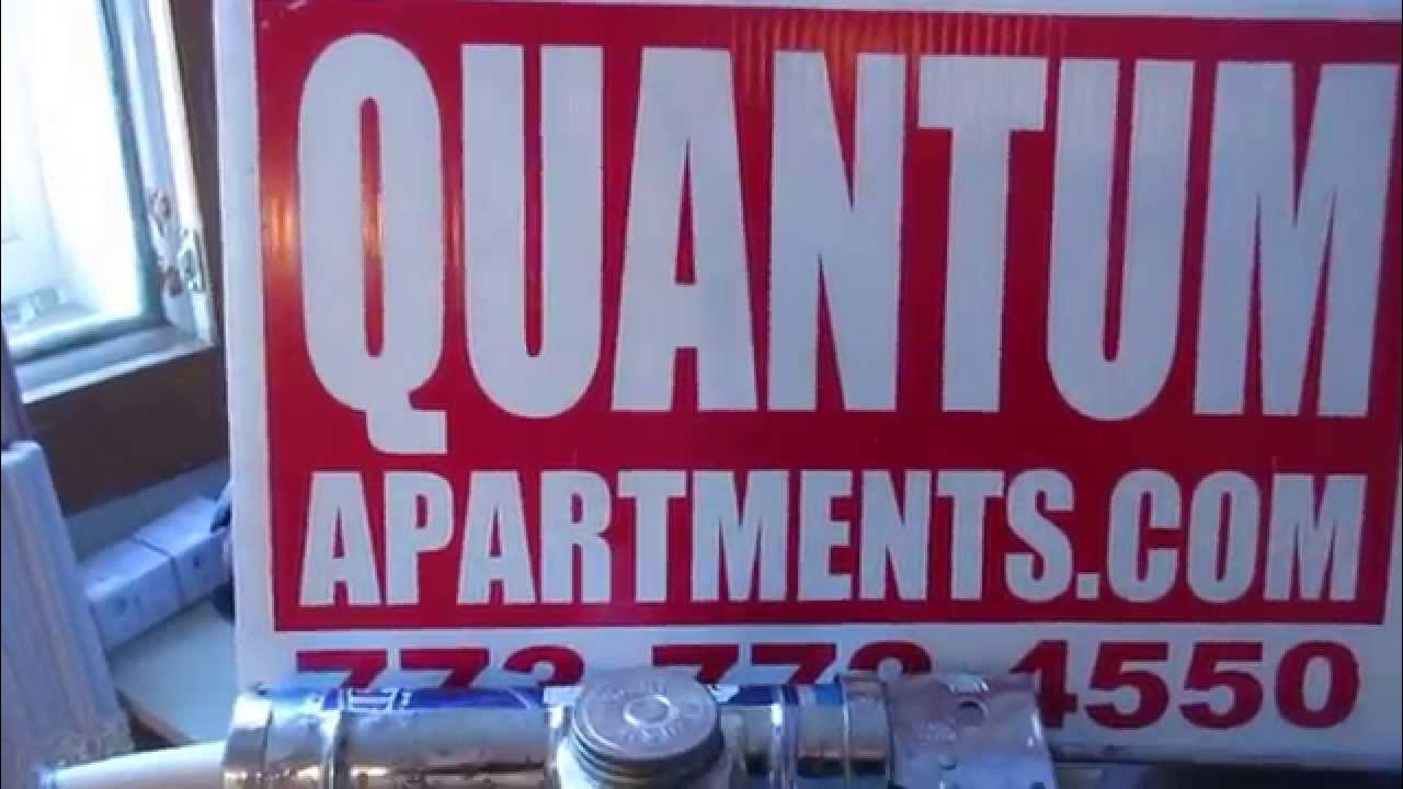 Single Family Home For Rent!! Wicker Park Chicago, IL 60622 YouTube