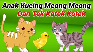 Kompilasi lagu anak anak || Kucing meong meong || Tekotek