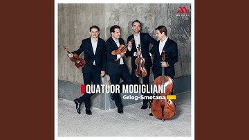 String Quartet No. 1 in E Minor: I. Allegro vivo appassionato