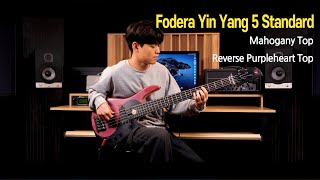 조건희 Nathan - Fodera Yin Yang 5 Standard Demo