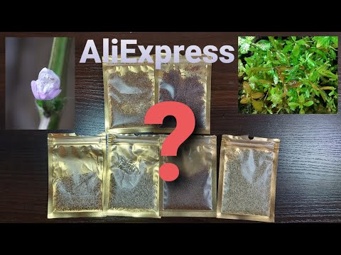 Videó: Hogyan Védekezhetünk Az AliExpress Csalóitól