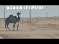 Le desert  agadir