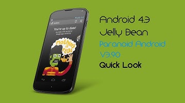 Android 4.3 and Paranoid Android Version 3.90 Quick Look N4