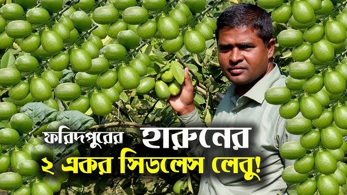 Meri Kerri porno video Francesca Jeymsni paypoqda onlayn tomosha qiling